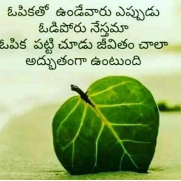 nallanna43875