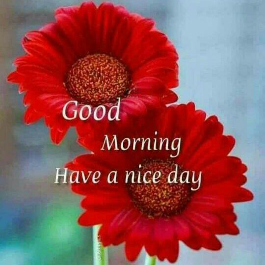chavan.prafful