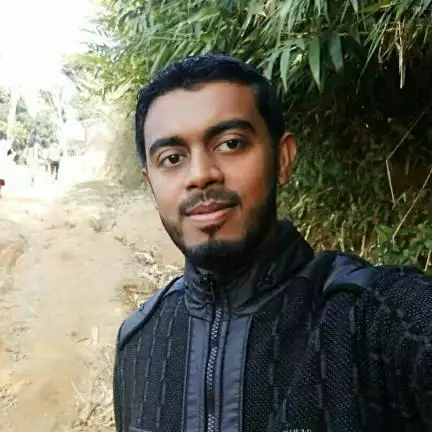majumderayan5