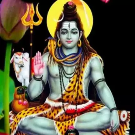 ashwiniprasadgupta44