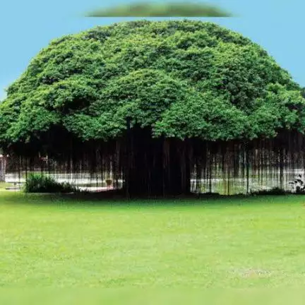 rameshbabum2804