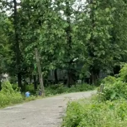 alipurduarnews