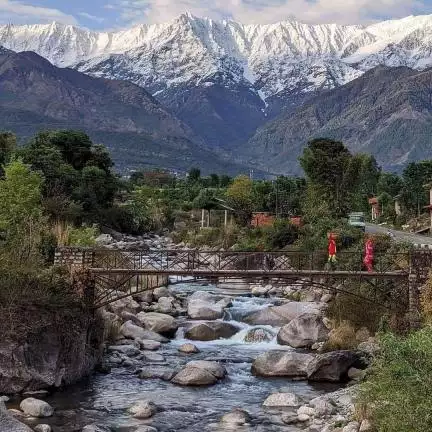 sukhsimar