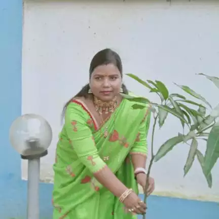 bimabharti7