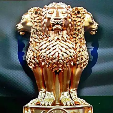 anshusocial