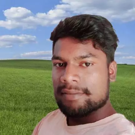publicmediaupdate