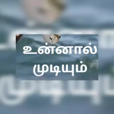boopathirajar99gmail