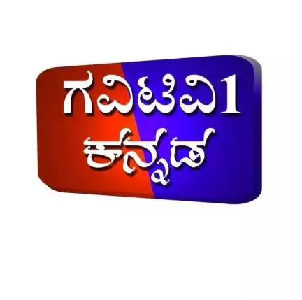 gavitv