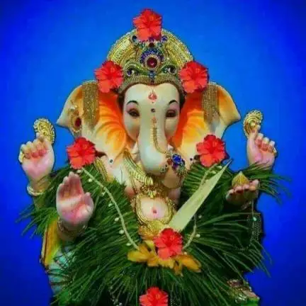 siddalingeshsiddu94