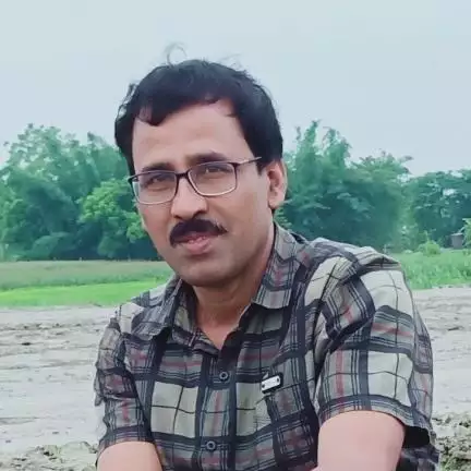boralimari