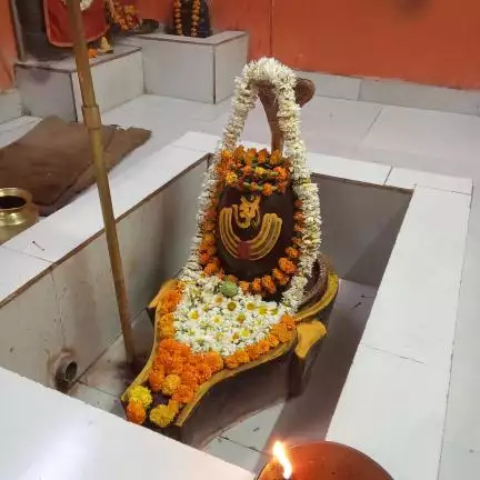 vindhyakashvk