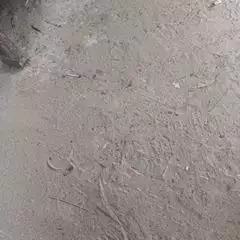 livenewsswm