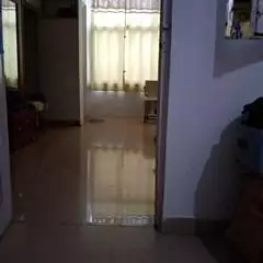 delhi_special